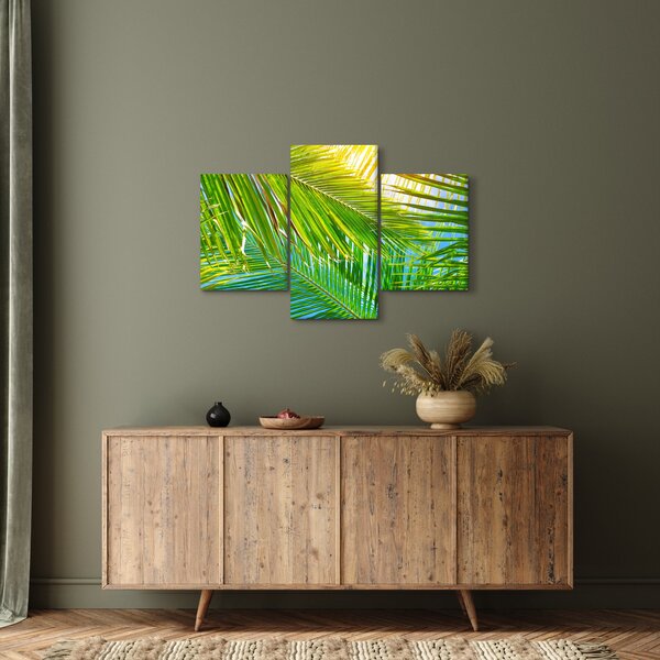 Obraz - Palmové listy (90x60 cm)