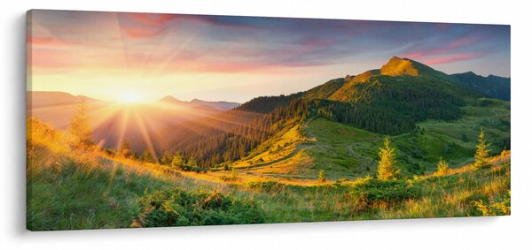 Obraz - Letná krajina (120x50 cm)