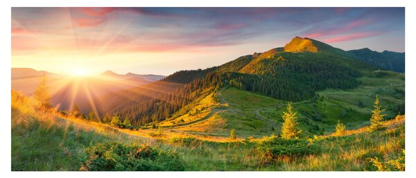 Obraz - Letná krajina (120x50 cm)