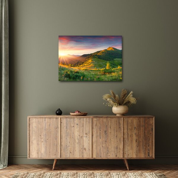 Obraz - Letná krajina (70x50 cm)