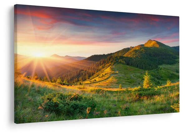 Obraz - Letná krajina (90x60 cm)