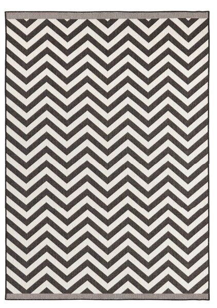 NORTHRUGS - Hanse Home koberce Kusový koberec Twin Supreme 103433 Palma black creme – na von aj na doma - 240x340 cm