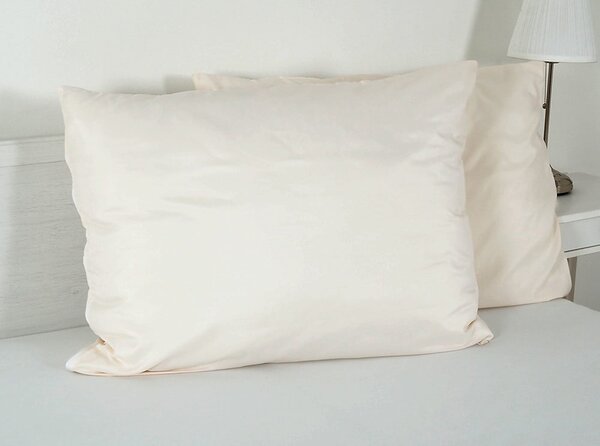 Obliečka na vankúš z mikrovlákna 70x90 cm Summer – B.E.S
