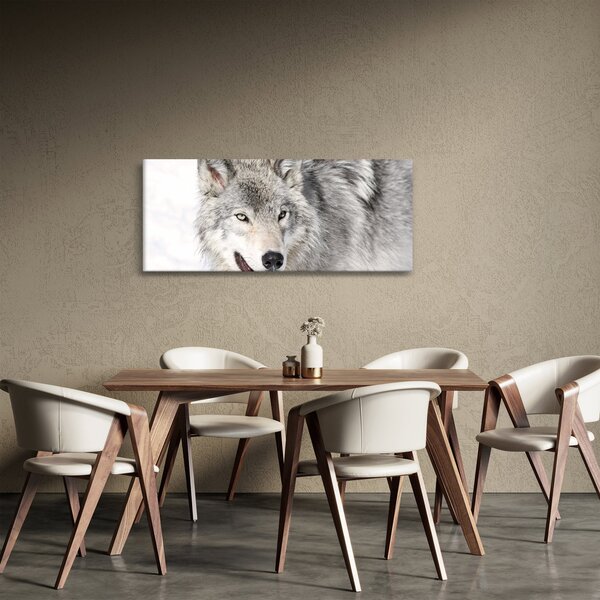 Obraz - Vlk v prírode (120x50 cm)