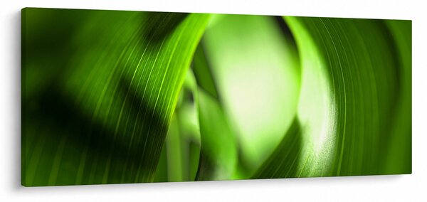 Obraz - Steblo trávy (120x50 cm)