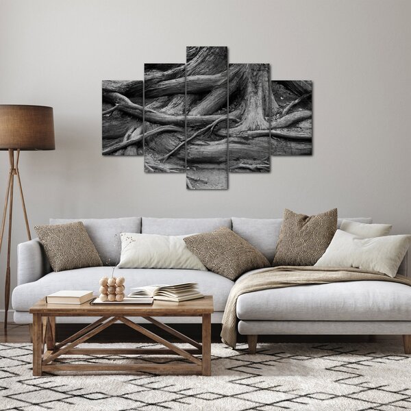 Obraz - Korene stromu (150x105 cm)