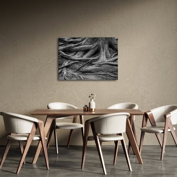 Obraz - Korene stromu (70x50 cm)