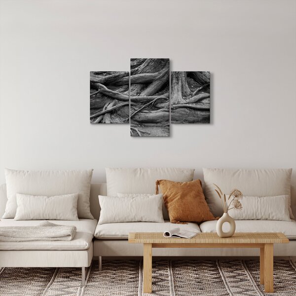 Obraz - Korene stromu (90x60 cm)