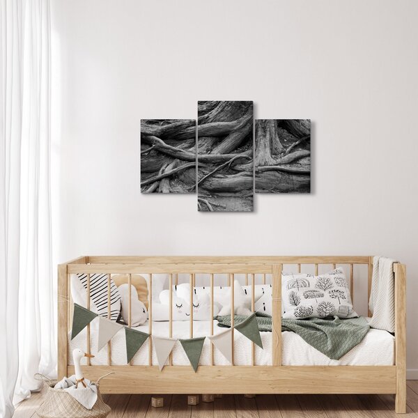 Obraz - Korene stromu (90x60 cm)