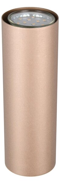 NÁSTENNÉ SVIETIDLO, 6/18 cm Trio Leuchten - Interiérové svietidlá