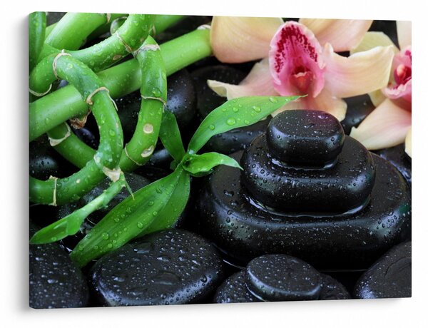 Obraz - Kamene a orchidey (70x50 cm)