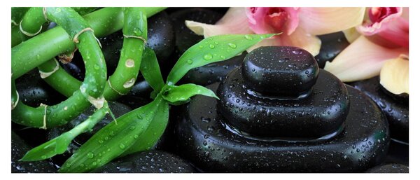 Obraz - Kamene a orchidey (120x50 cm)