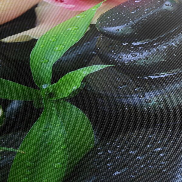 Obraz - Kamene a orchidey (120x50 cm)