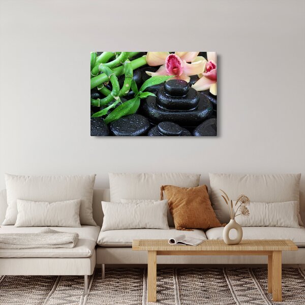 Obraz - Kamene a orchidey (90x60 cm)