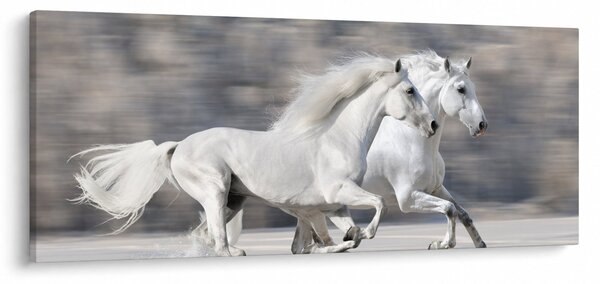 Obraz - Biele kone v zime (120x50 cm)