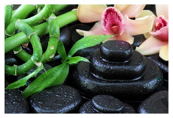 Obraz - Kamene a orchidey (90x60 cm)
