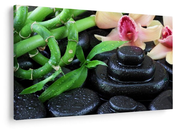 Obraz - Kamene a orchidey (90x60 cm)
