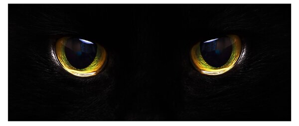 Obraz - Mačacie oči (120x50 cm)
