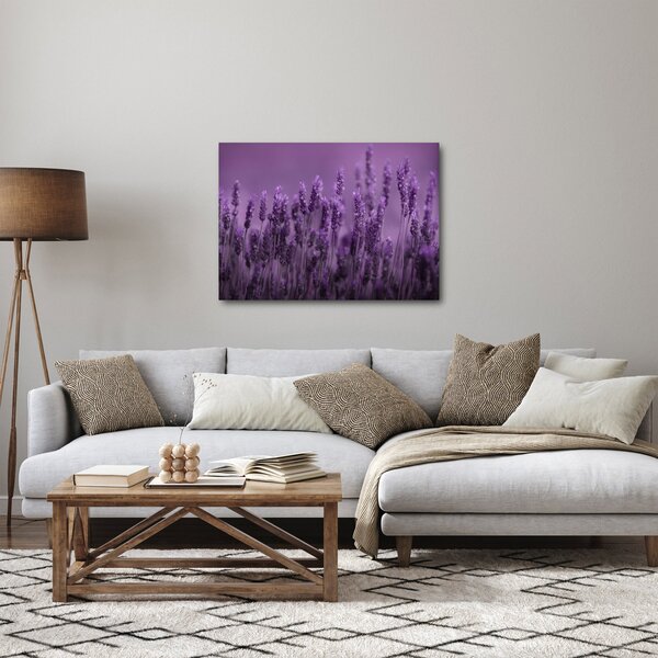 Obraz - Levanduľa (70x50 cm)