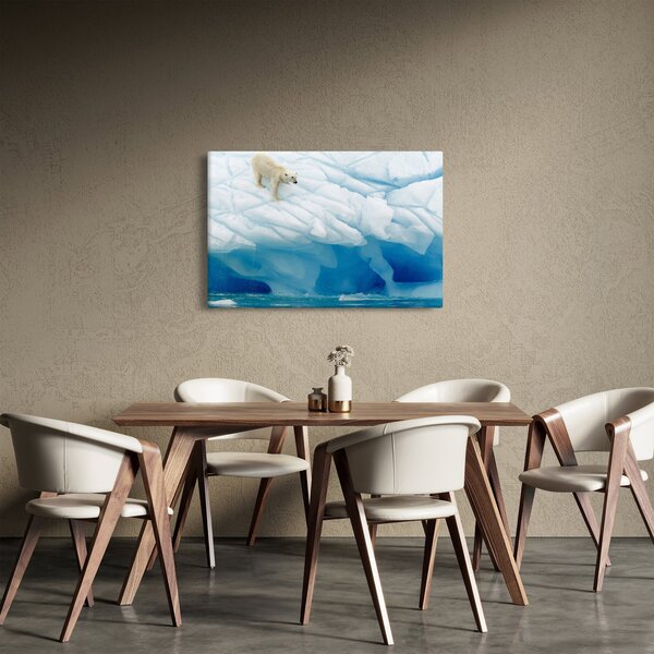 Obraz - Polárny medveď (90x60 cm)
