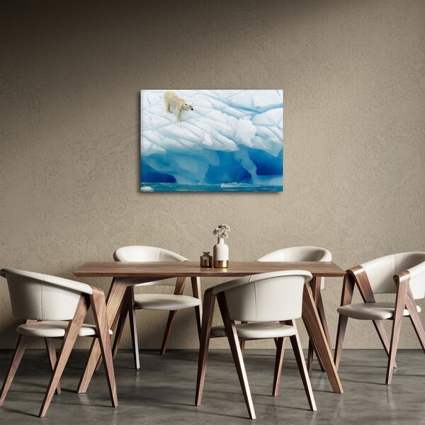 Obraz - Polárny medveď (70x50 cm)