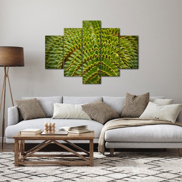 Obraz - Papraď (150x105 cm)