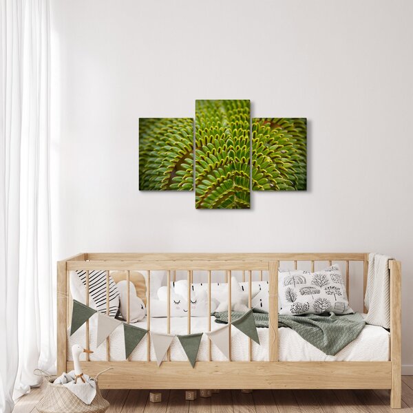 Obraz - Papraď (90x60 cm)