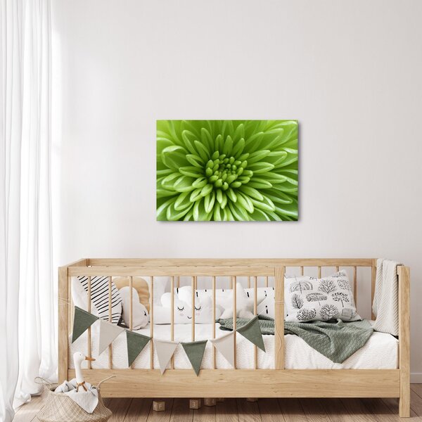 Obraz - Makro snímka rastliny (70x50 cm)