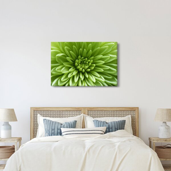 Obraz - Makro snímka rastliny (90x60 cm)