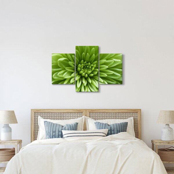 Obraz - Makro snímka rastliny (90x60 cm)