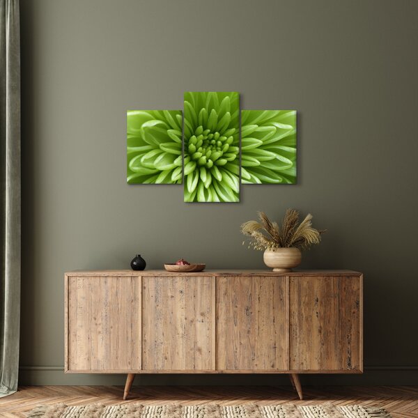 Obraz - Makro snímka rastliny (90x60 cm)