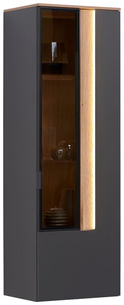 ZÁVESNÁ VITRÍNA, antracitová, farba duba, 45,6/139,4/36 cm Dieter Knoll - Sklenené vitríny