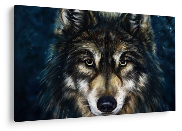 Obraz - Vlk (90x60 cm)