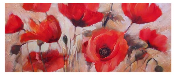 Obraz - Vlčie maky (120x50 cm)
