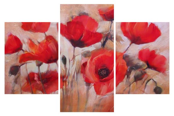Obraz - Vlčie maky (90x60 cm)