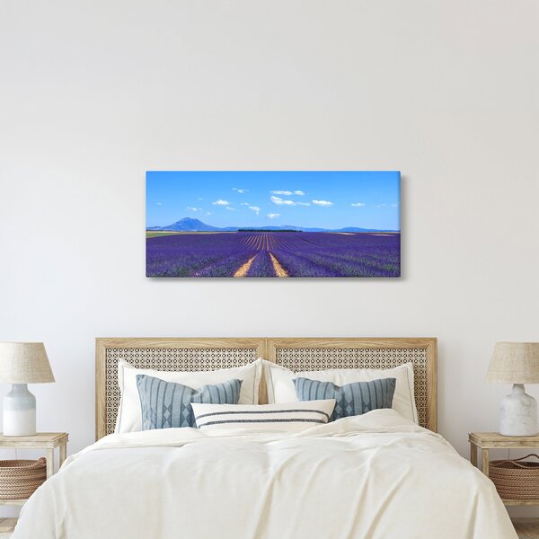 Obraz - Levanduľové pole (120x50 cm)