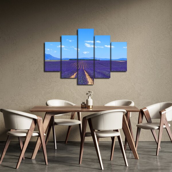 Obraz - Levanduľové pole (150x105 cm)