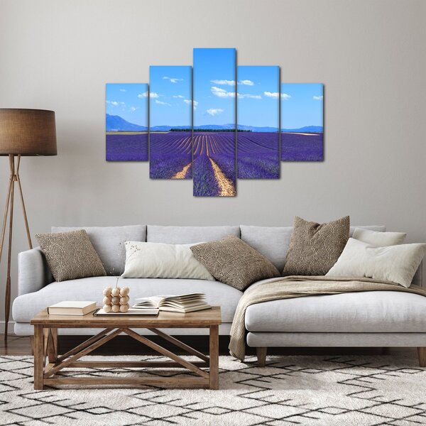 Obraz - Levanduľové pole (150x105 cm)
