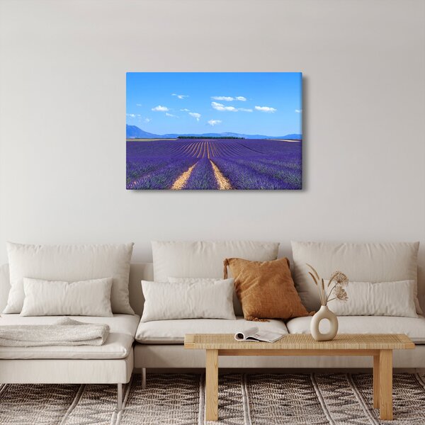 Obraz - Levanduľové pole (90x60 cm)