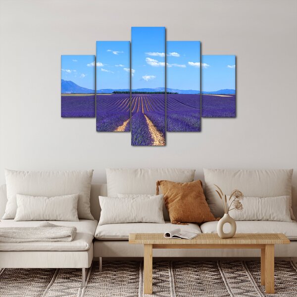 Obraz - Levanduľové pole (150x105 cm)