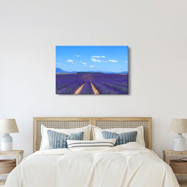 Obraz - Levanduľové pole (90x60 cm)
