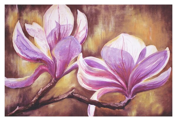 Obraz - Kvety magnólie (90x60 cm)