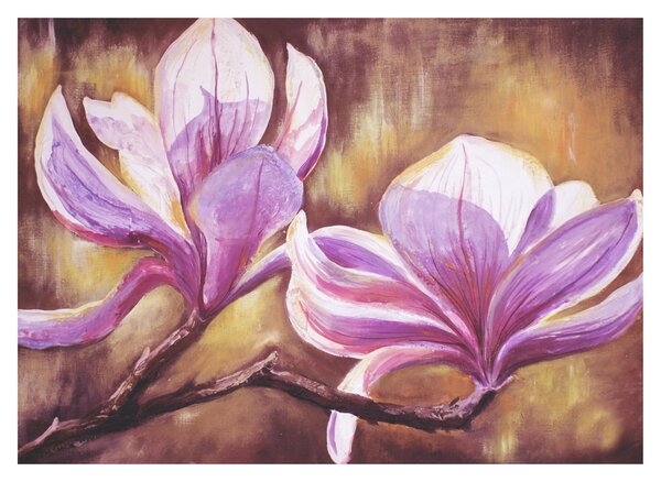 Obraz - Kvety magnólie (70x50 cm)