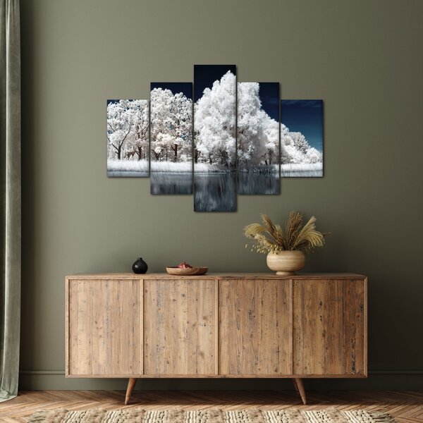 Obraz - Snehobiele stromy (150x105 cm)
