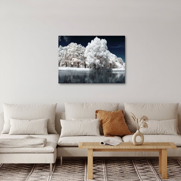 Obraz - Snehobiele stromy (70x50 cm)
