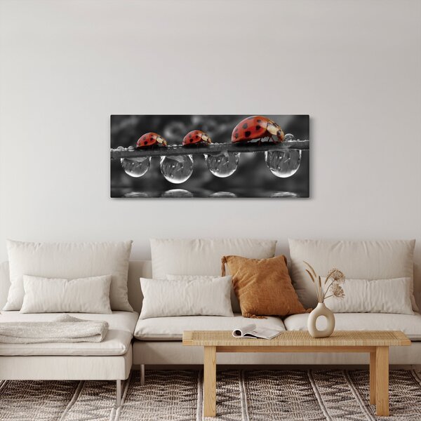 Obraz - Lienka sedembodková, čiernobiela (120x50 cm)