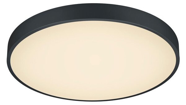 STROPNÉ LED SVIETIDLO, 49,5/6,5 cm Trio Leuchten - Interiérové svietidlá
