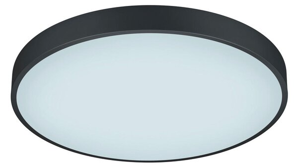 STROPNÉ LED SVIETIDLO, 49,5/6,5 cm Trio Leuchten - Interiérové svietidlá