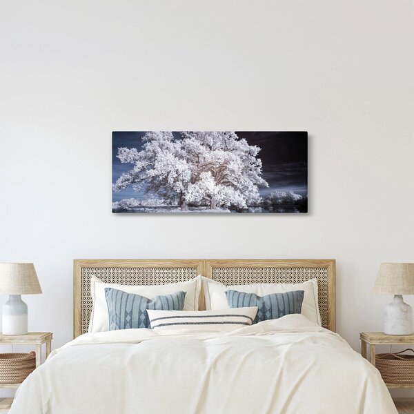 Obraz - Snehobiely strom (120x50 cm)