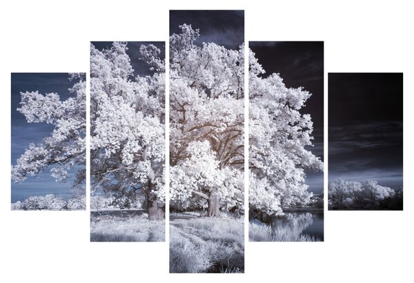 Obraz - Snehobiely strom (150x105 cm)